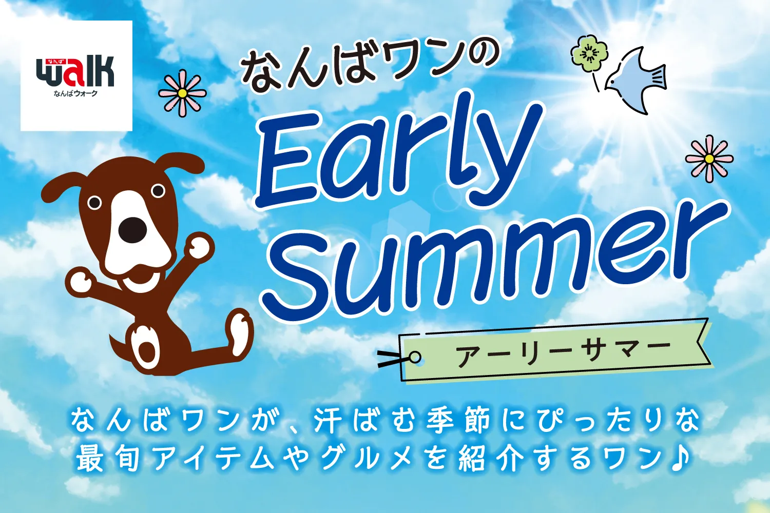 なんばワンのEarly Summer!!