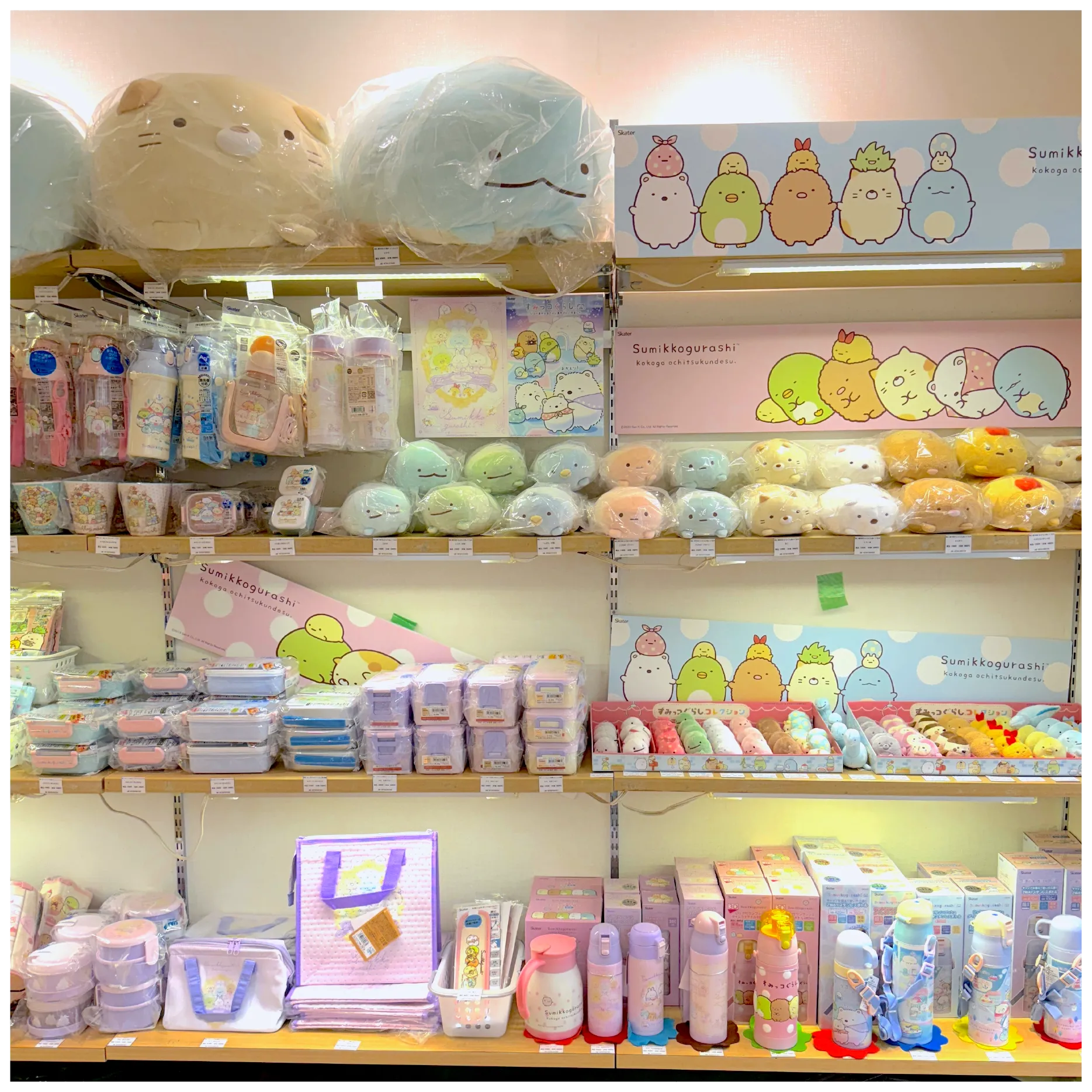 すみっコぐらしPOP UP SHOP skater collection【POPUP SHOP】