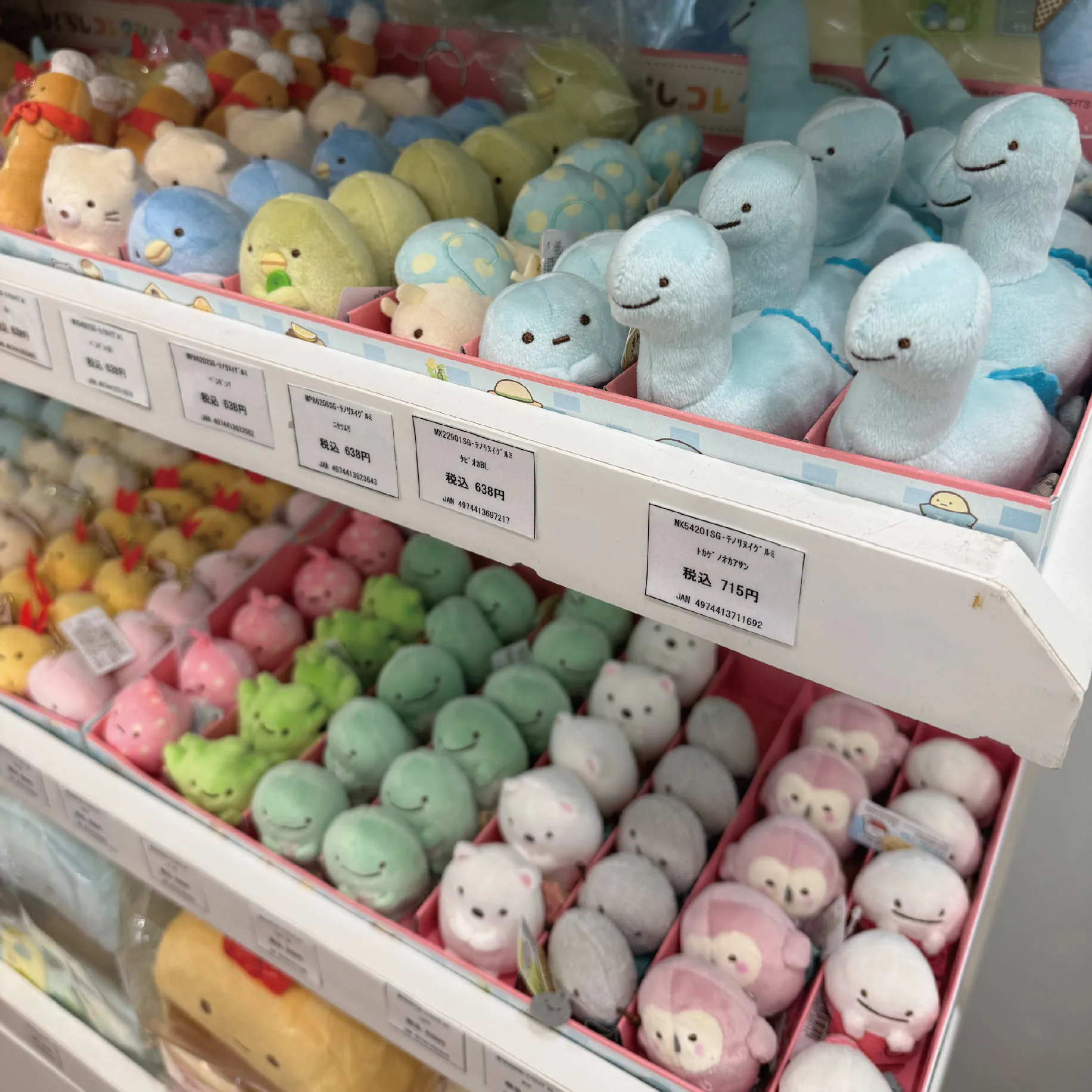 すみっコぐらしPOP UP SHOP skater collection【POPUP SHOP】