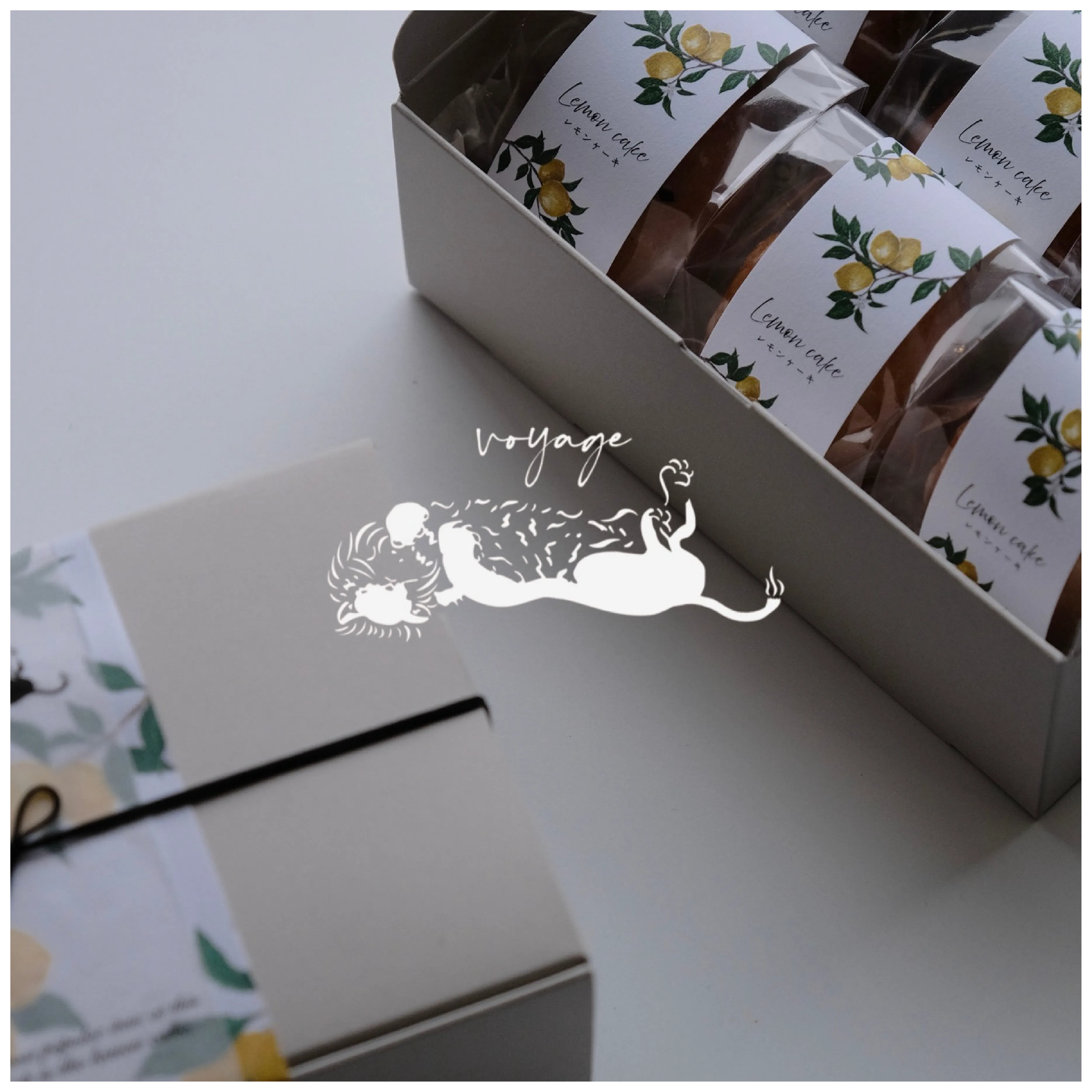 voyage【＃CHIKAMISE】