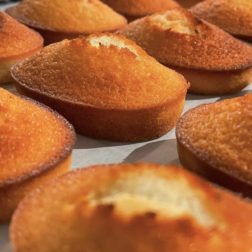 voyage【＃CHIKAMISE】