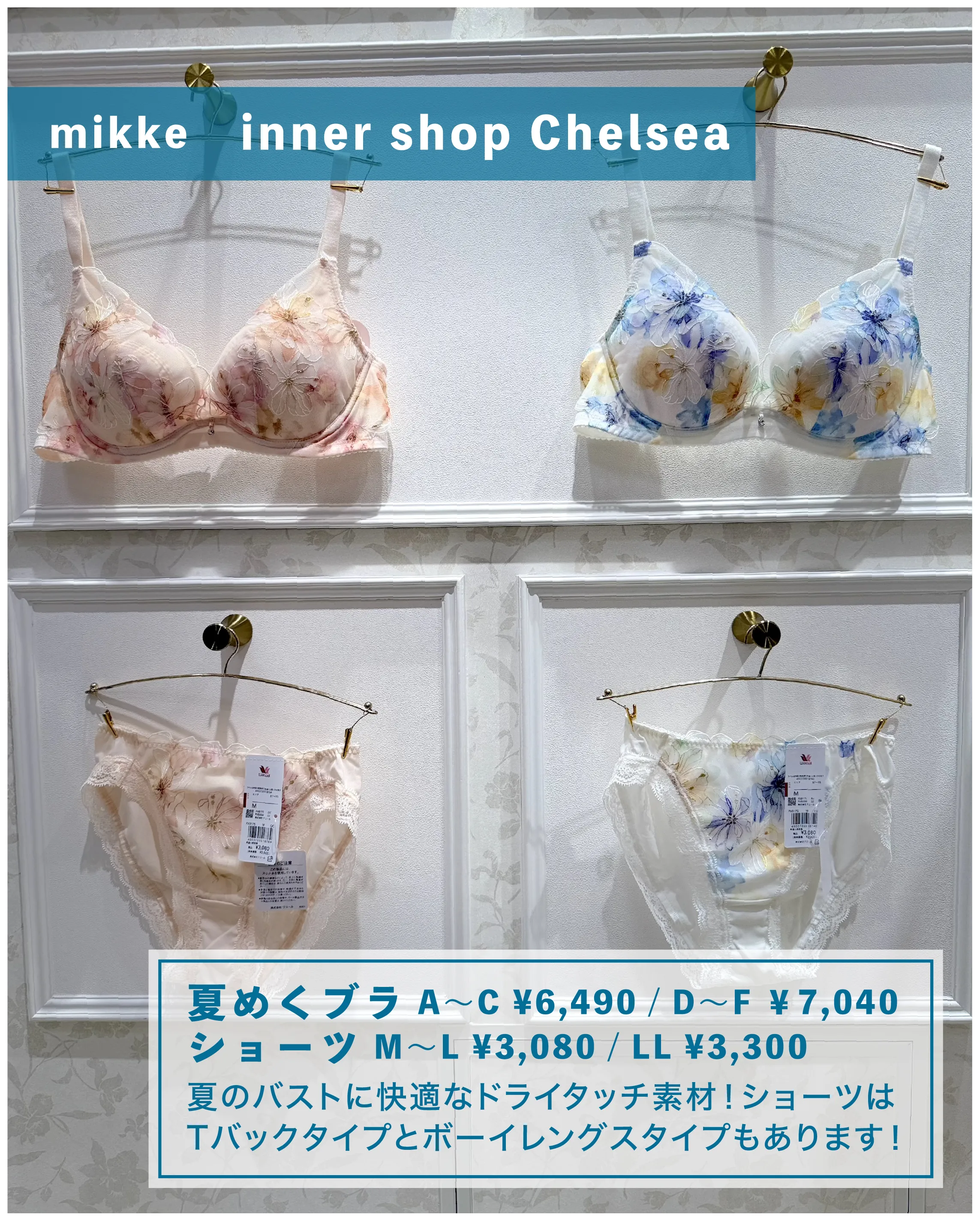 夏めくブラ