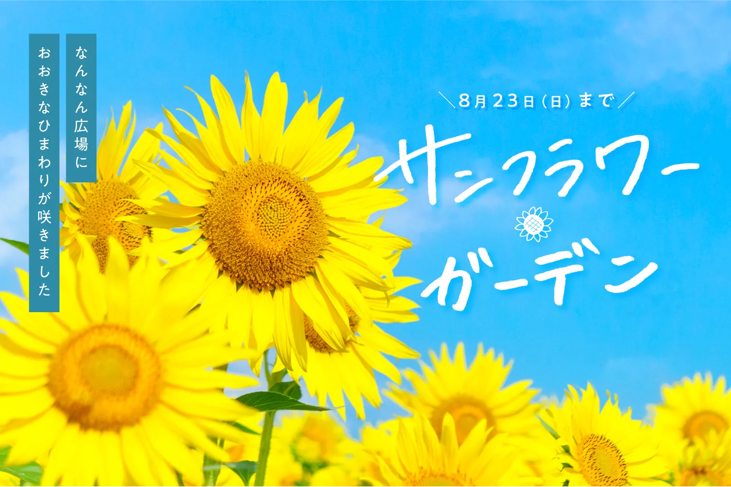 🌻なんなんのひまわり装飾🌻